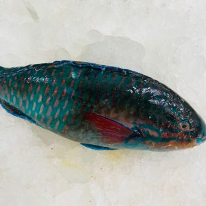 Green Perrot