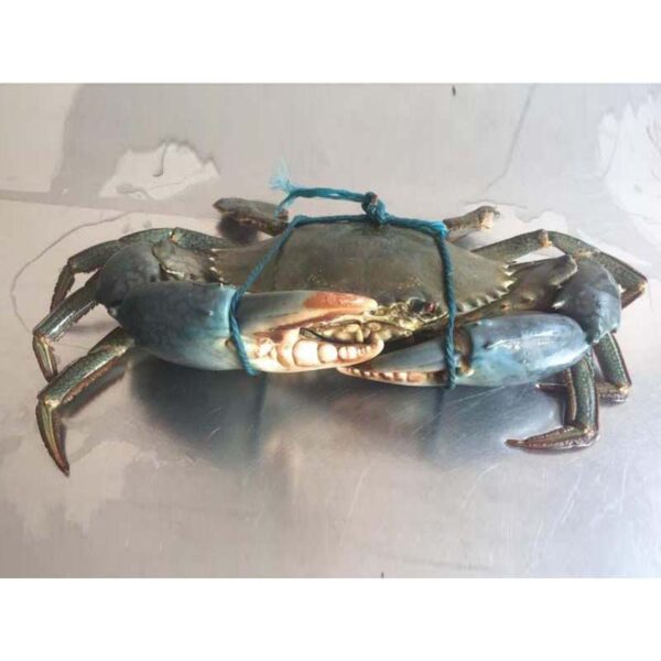 Crab